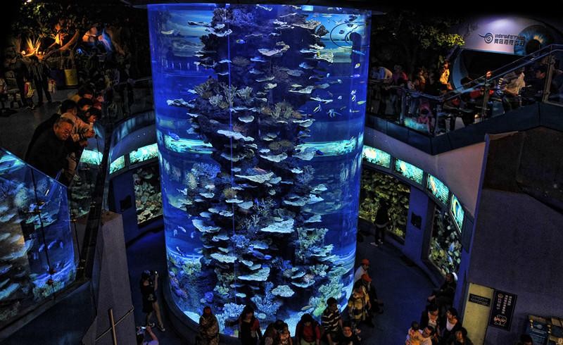 亚克力水族馆制作具备了哪些优势