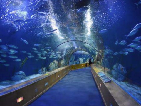亚克力水族馆制作要注意哪些问题？